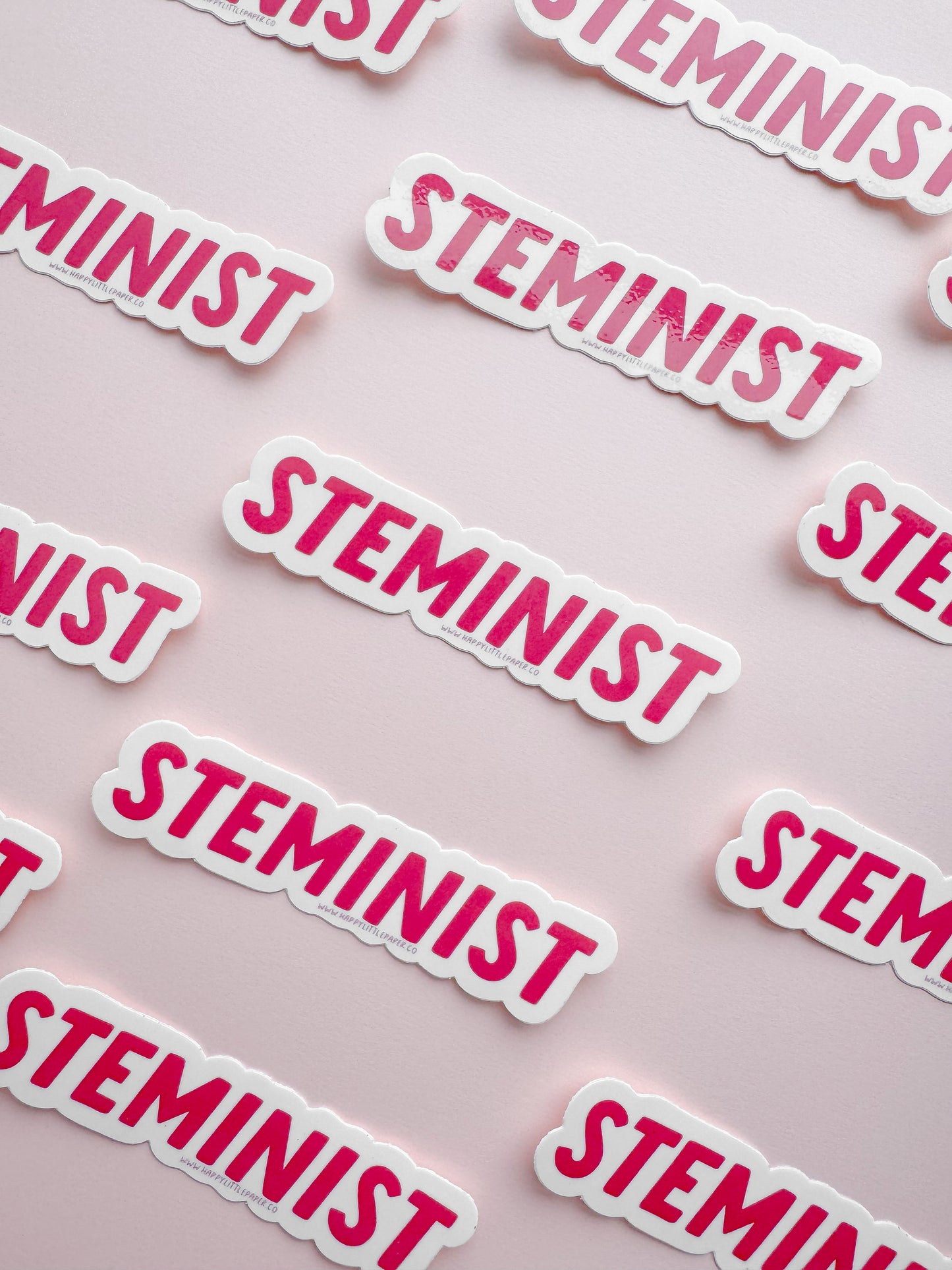 Vinyl Sticker-Steminist (STEM, Teacher, Feminist, Pun)