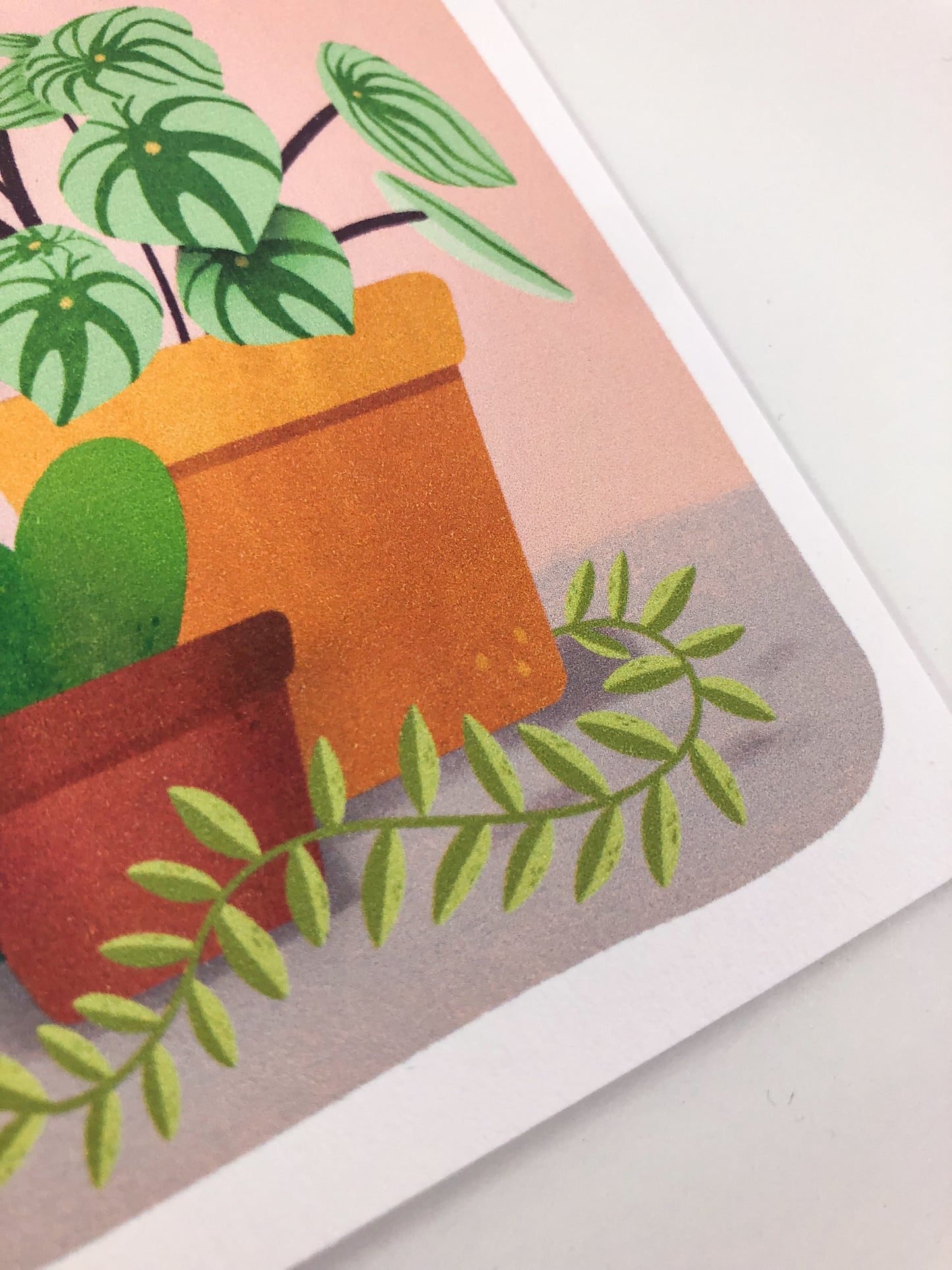 I Love You Almost As Much As I Love My Plants Funny Valentine's Day Card